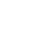 dettaglio-di-rete-contro-i-piccioni